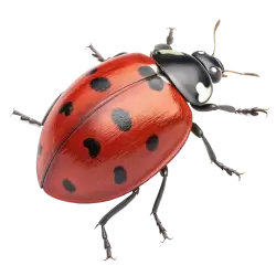 Imagen PNG para descargar